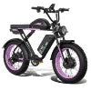 52V 23ah Dual Batteries 2000w Electric Mountain Bike Dual Motors 20 Inch Fat Tire Ebike Dual Suspension Electr Bike