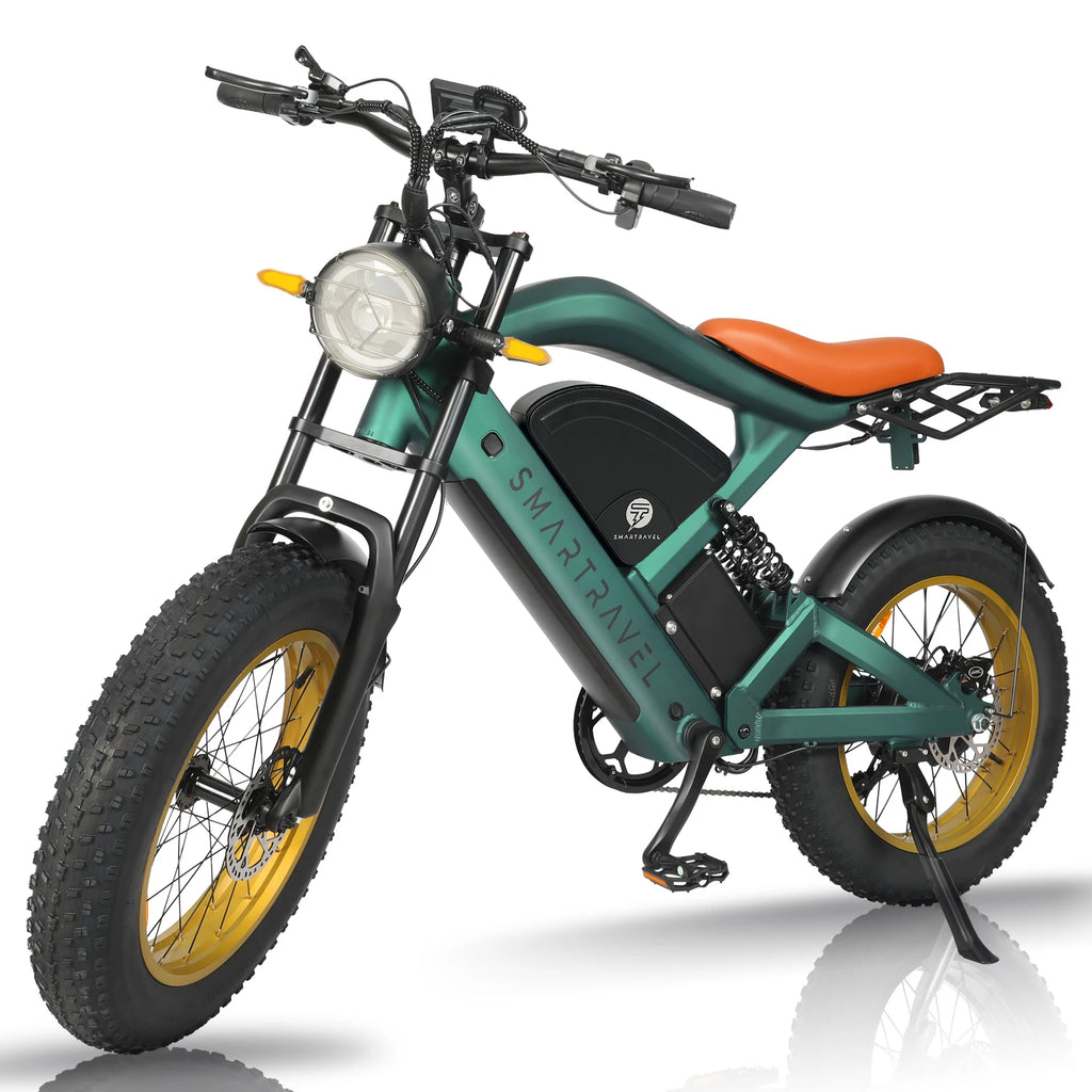 All-terrain Electric Bike 1200W Motor 48V20AH Battery 20*4.0 Tire Mountain E-bicycle 52KM/H Urban E-bicycle Electric motorcycle