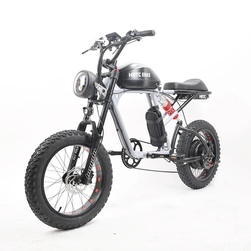 Electric Retro Motorcycle with Soft Tail, High Power Motor, Off-Road Motorbike, Off-road Bicycle, 20 Super Ebike, 48V, 1500W